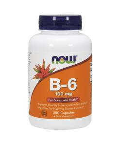 NOW Foods - Vitamin B-6 100mg - 250 caps