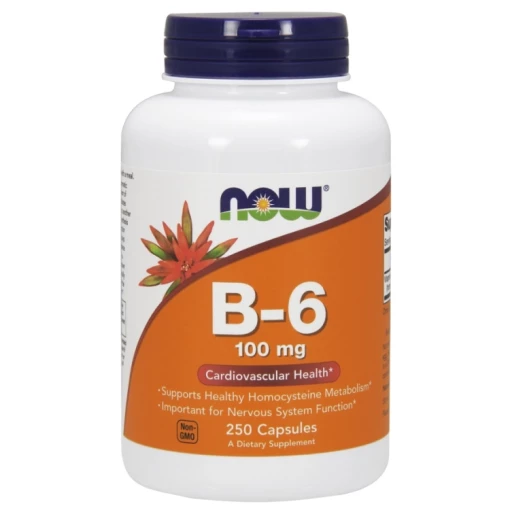 NOW Foods - Vitamin B-6 100mg - 250 caps