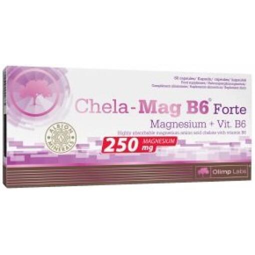 Chela-Mag B6