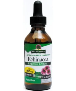 Echinacea Root
