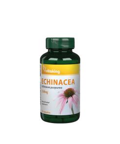 Vitaking Échinacée Pourpre 250 mg (90 capsules)