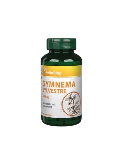 Vitaking Gymnema Sylvestre 400 mg (90 Gélules)