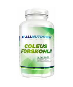 Coleus forskohlii - 90 capsules
