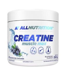 Allnutrition - Créatine Muscle Max, Myrtille - 250g