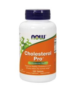Cholestérol Pro - 120 comprimés