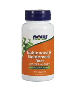 Echinacea & Goldenseal Root - 100 caps