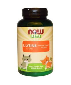 NOW Foods - L-Lysine voor katten - 226 g