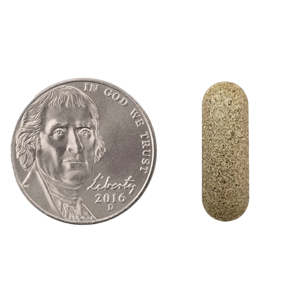 Natrol - Complexe Mémoire – Image 2