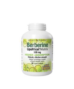 Natural Factors - Berberine LipoMicel Matrix - 500 mg Berberine (90 Softgels)