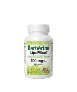 Natural Factors - Berberine LipoMicel Matrix (60 Softgels)
