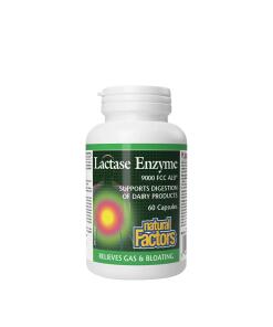 Natural Factors - Lactase Enzyme (60 capsules)