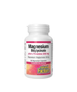 Natural Factors - Magnesiumbisglycinaat 100 plus L-Theanine 250 mg (90 capsules)