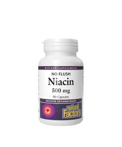 Facteurs naturels Niacine 500 mg (90 capsules)
