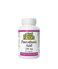 Acide pantothénique de Natural Factors 250 mg (90 capsules)