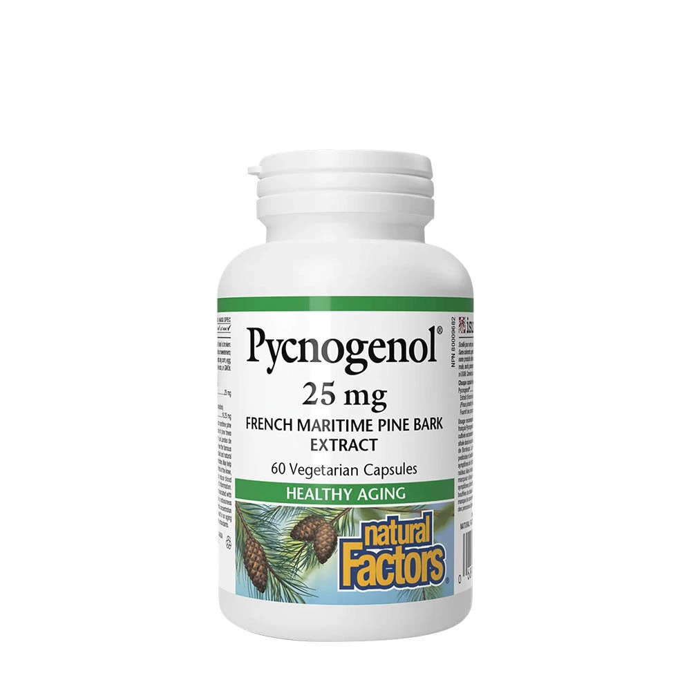 Extrait d'écorce de pin Natural Factors Pycnogenol 25 mg (60 capsules)