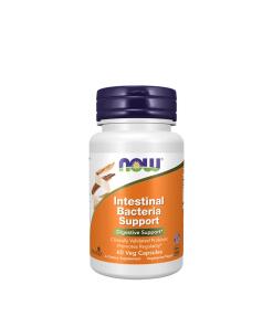 NOW Foods - Ondersteuning voor Darmbacteriën (60 Capsules)