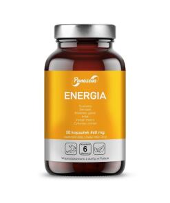 Énergie de PANASEUS (50 gélules)