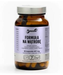 Formule PANASEUS pour le foie (50 gélules)