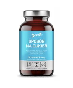 Panaseus - De Suikerroute (50 capsules)