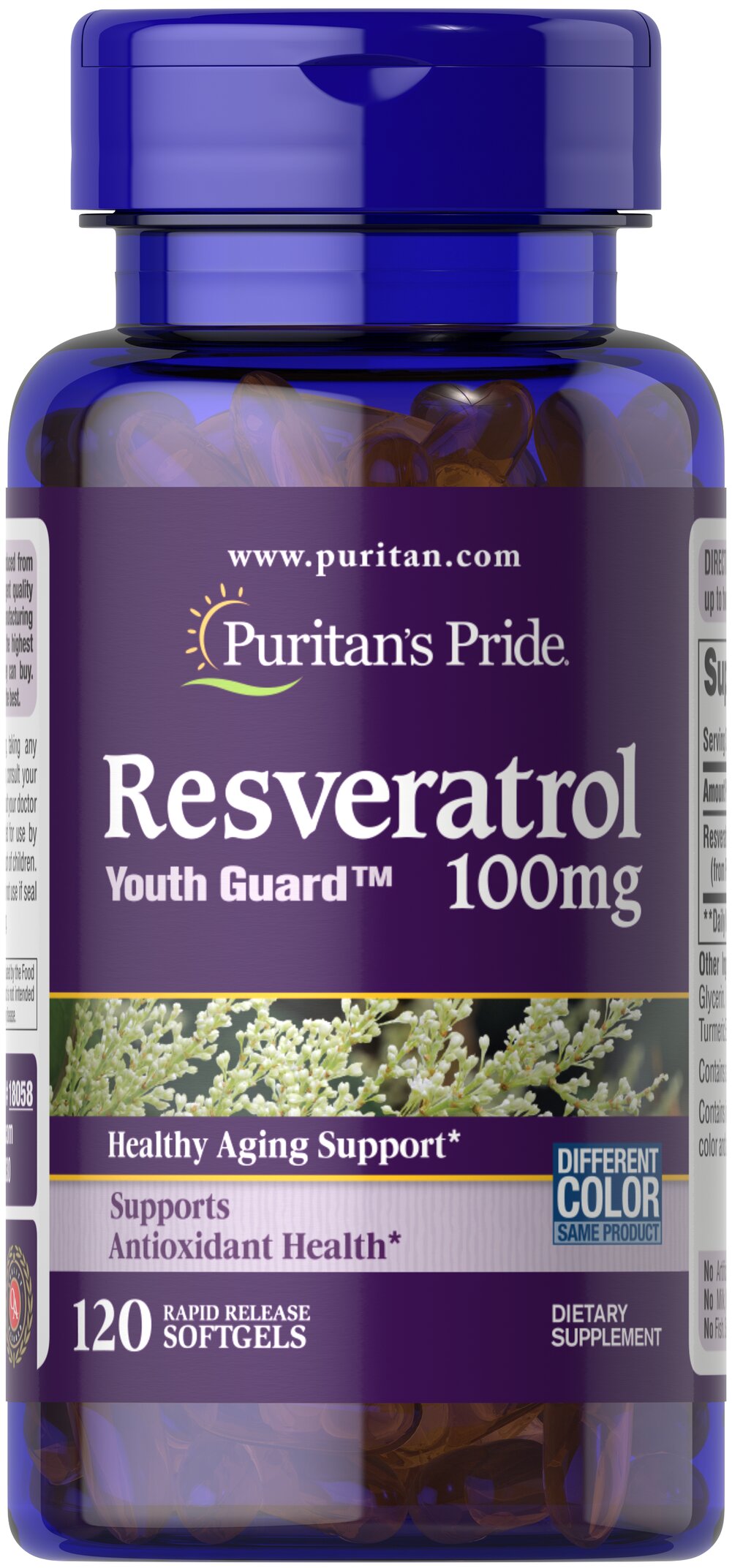 Puritan's Pride - Resvératrol, 100 mg - 120 capsules molles