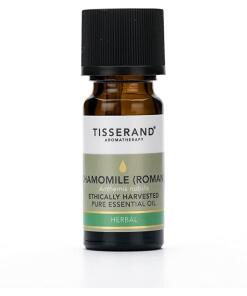 Chamomile (Romaine) Anthemis Nobilis Récoltée de manière éthique (9 ml / 0,3 fl. oz.)