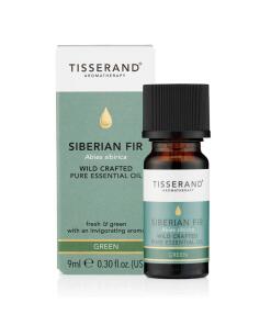 Tisserand Aromathérapie Sapin de Sibérie Abies Sibirica Sauvage (9 ml / 0,3 fl. oz.)