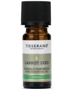 Huile essentielle de Carotte Daucus Carota Sativa Récoltée de manière éthique (9 ml / 0,3 fl. oz.)