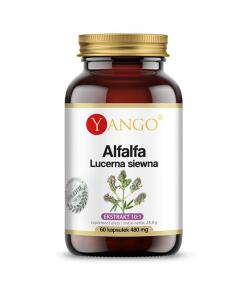 Yango - Alfalfa (60 capsules)