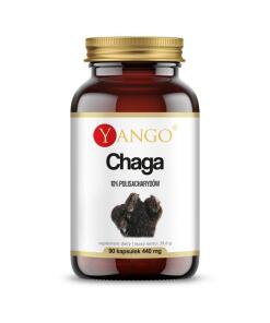 Yango - Chaga 10% (90 capsules)