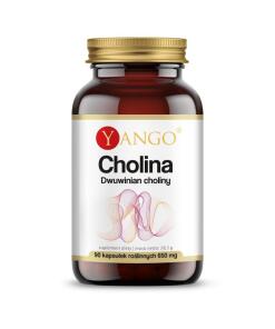 Yango - Cholinebitartraat, 560 mg (120 capsules)