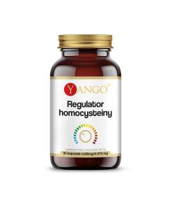 Yango - YANGO Homocysteïneregulator (90 capsules)