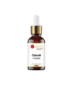 Yango - YANGO Witte Moerbei Chlorofyl in Druppels (30 ml)