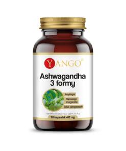 Ashwagandha en 3 formes (90 gélules)
