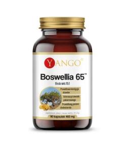 YANGO Boswellia 65 (90 gélules)