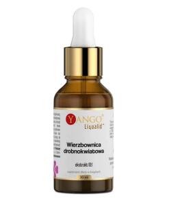 Saule à petites fleurs YANGO - Extrait 10:1 (30 ml)